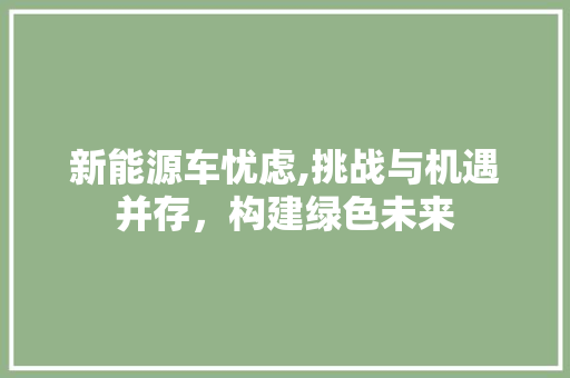 新能源车忧虑,挑战与机遇并存，构建绿色未来