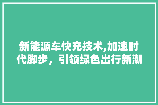 新能源车快充技术,加速时代脚步，引领绿色出行新潮流