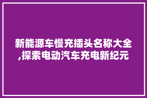 新能源车慢充插头名称大全,探索电动汽车充电新纪元