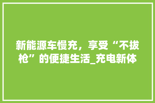 新能源车慢充，享受“不拔枪”的便捷生活_充电新体验带来的变革
