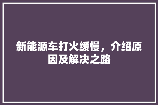 新能源车打火缓慢，介绍原因及解决之路