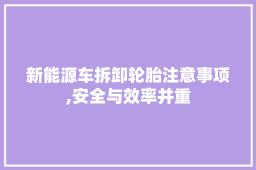 新能源车拆卸轮胎注意事项,安全与效率并重