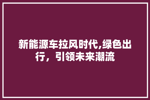 新能源车拉风时代,绿色出行，引领未来潮流