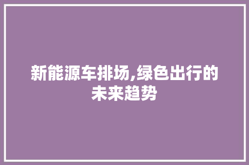 新能源车排场,绿色出行的未来趋势