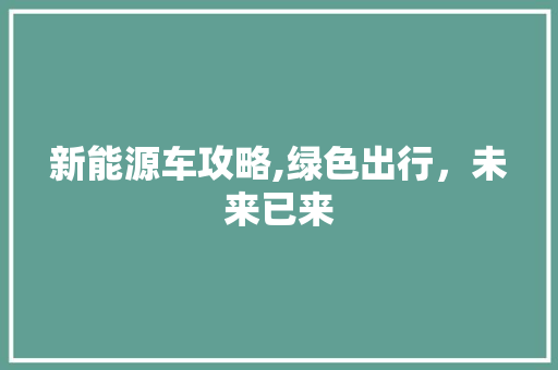 新能源车攻略,绿色出行，未来已来