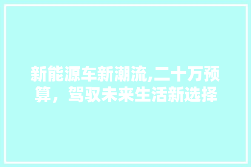 新能源车新潮流,二十万预算，驾驭未来生活新选择
