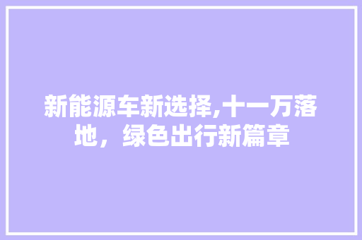 新能源车新选择,十一万落地，绿色出行新篇章