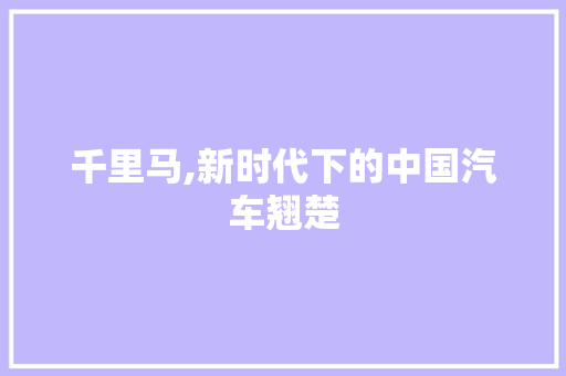 千里马,新时代下的中国汽车翘楚