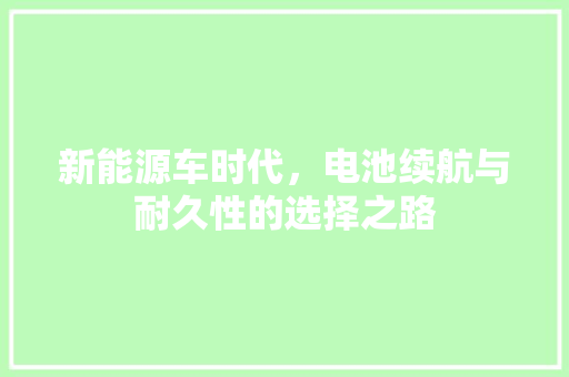 新能源车时代，电池续航与耐久性的选择之路
