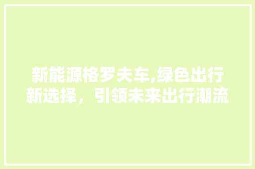 新能源格罗夫车,绿色出行新选择，引领未来出行潮流