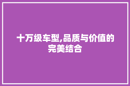 十万级车型,品质与价值的完美结合