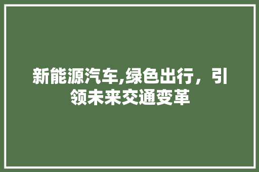 新能源汽车,绿色出行，引领未来交通变革