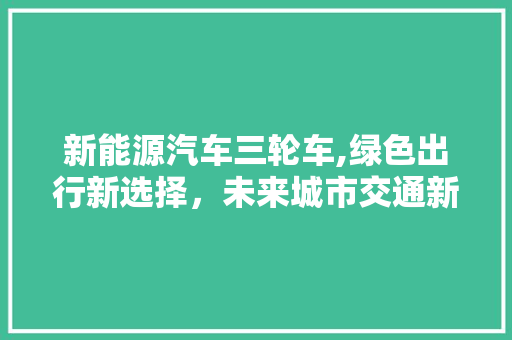 新能源汽车三轮车,绿色出行新选择，未来城市交通新趋势