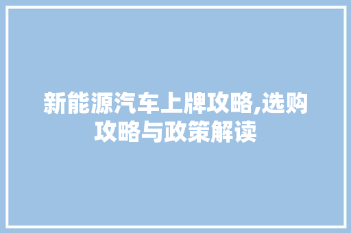 新能源汽车上牌攻略,选购攻略与政策解读