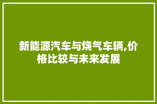 新能源汽车与烧气车辆,价格比较与未来发展