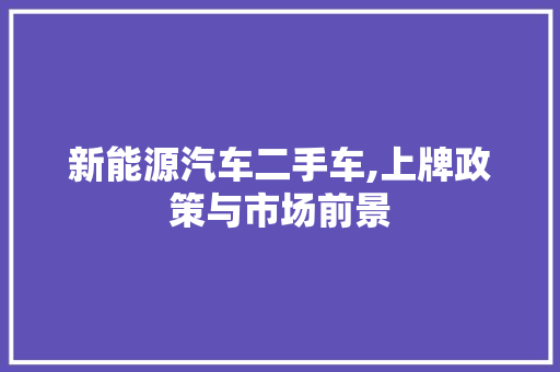 新能源汽车二手车,上牌政策与市场前景