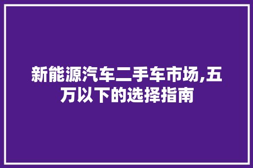 新能源汽车二手车市场,五万以下的选择指南 变速箱配件