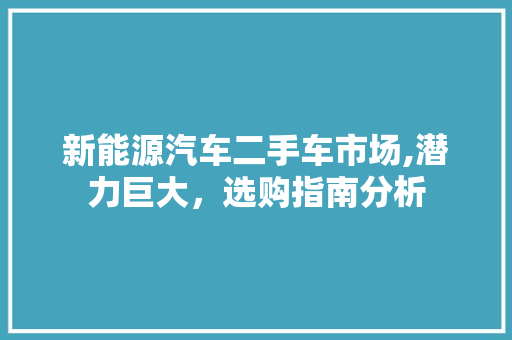 新能源汽车二手车市场,潜力巨大，选购指南分析