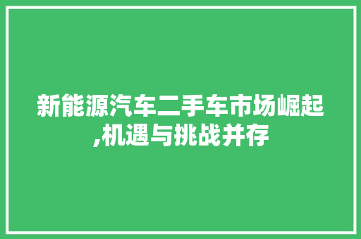 新能源汽车二手车市场崛起,机遇与挑战并存