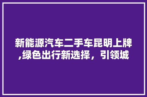 新能源汽车二手车昆明上牌,绿色出行新选择，引领城市可持续发展 新款车型