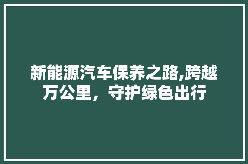 新能源汽车保养之路,跨越万公里，守护绿色出行