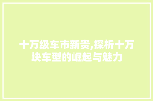 十万级车市新贵,探析十万块车型的崛起与魅力