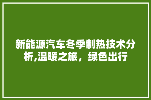 新能源汽车冬季制热技术分析,温暖之旅，绿色出行