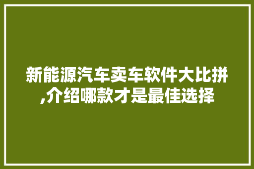 新能源汽车卖车软件大比拼,介绍哪款才是最佳选择 车身配件