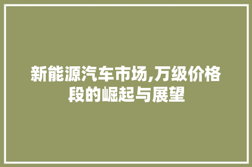 新能源汽车市场,万级价格段的崛起与展望