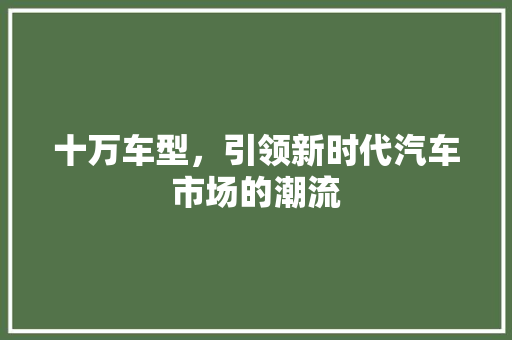 十万车型，引领新时代汽车市场的潮流