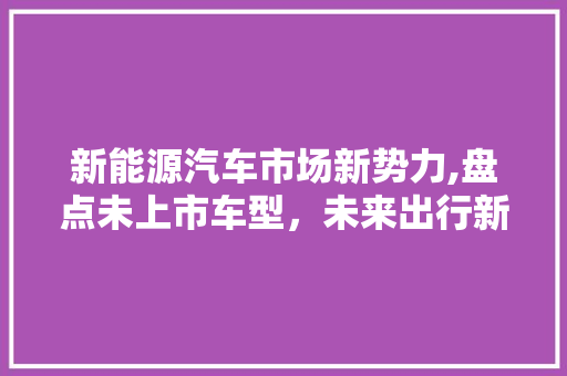 新能源汽车市场新势力,盘点未上市车型，未来出行新期待