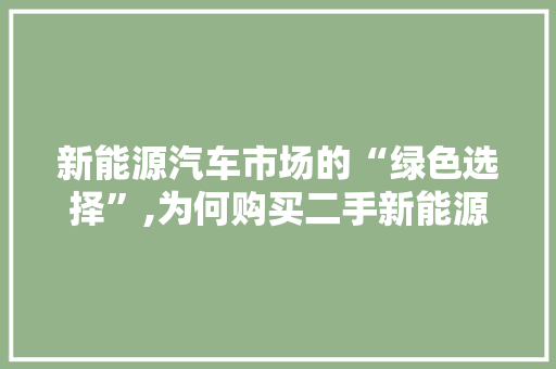 新能源汽车市场的“绿色选择”,为何购买二手新能源车