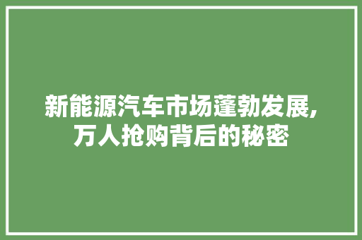新能源汽车市场蓬勃发展,万人抢购背后的秘密