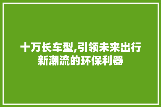 十万长车型,引领未来出行新潮流的环保利器