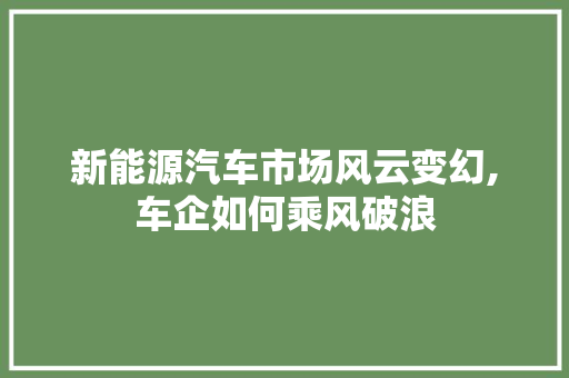 新能源汽车市场风云变幻,车企如何乘风破浪