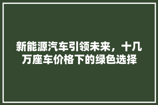 新能源汽车引领未来，十几万座车价格下的绿色选择