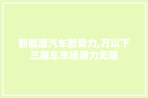 新能源汽车新势力,万以下三厢车市场潜力无限