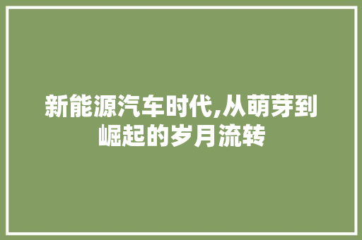 新能源汽车时代,从萌芽到崛起的岁月流转