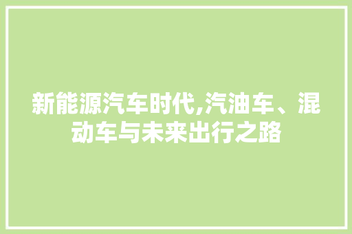 新能源汽车时代,汽油车、混动车与未来出行之路