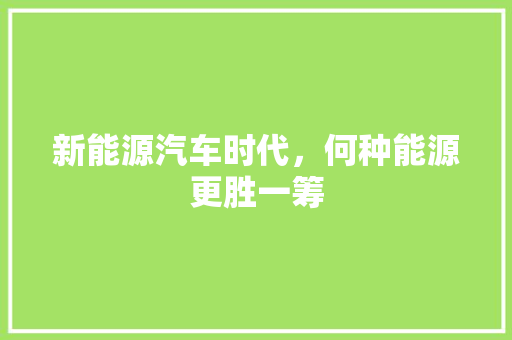新能源汽车时代，何种能源更胜一筹