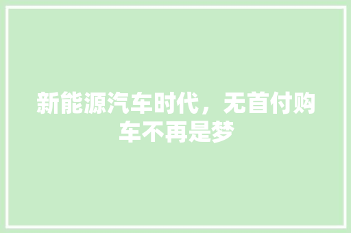 新能源汽车时代，无首付购车不再是梦