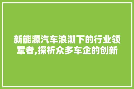 新能源汽车浪潮下的行业领军者,探析众多车企的创新与挑战