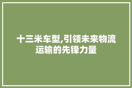 十三米车型,引领未来物流运输的先锋力量