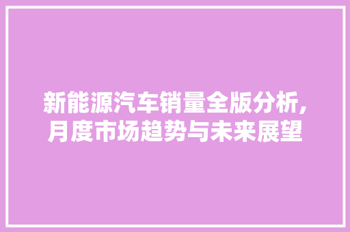 新能源汽车销量全版分析,月度市场趋势与未来展望
