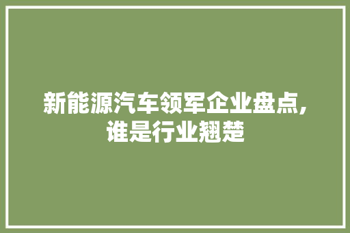 新能源汽车领军企业盘点,谁是行业翘楚