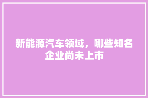 新能源汽车领域，哪些知名企业尚未上市