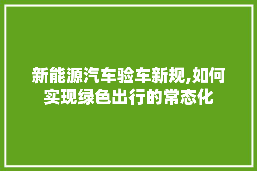 新能源汽车验车新规,如何实现绿色出行的常态化
