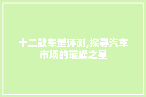 十二款车型评测,探寻汽车市场的璀璨之星