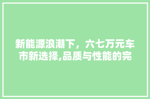 新能源浪潮下，六七万元车市新选择,品质与性能的完美结合
