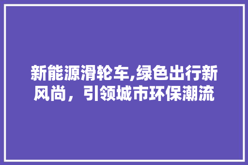 新能源滑轮车,绿色出行新风尚，引领城市环保潮流